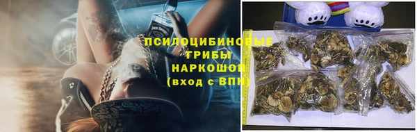 спиды Баксан
