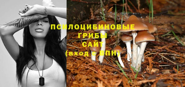 apvp Балахна