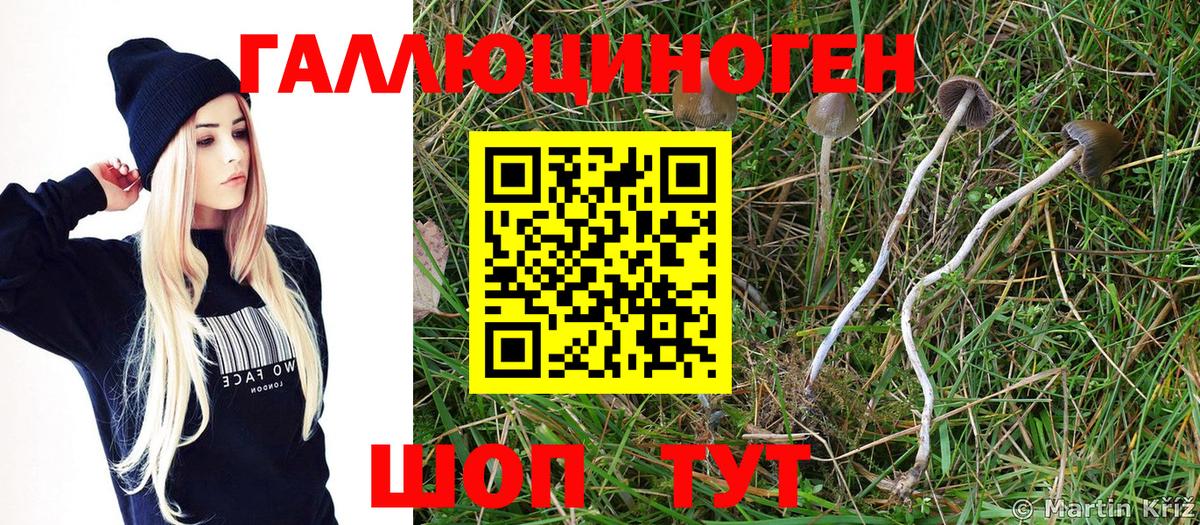 Псилоцибиновые грибы GOLDEN TEACHER Кунгур