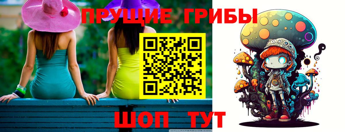 где продают   Вход с VPN  Кунгур  Псилоцибиновые грибы GOLDEN TEACHER 