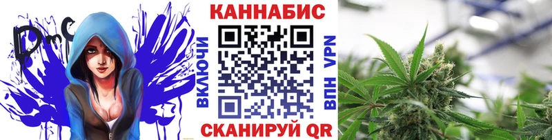 Канабис индика Кунгур